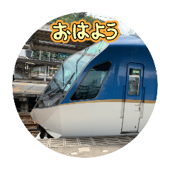 Kintetsu Limited Express