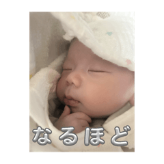 Makoto_20251015124514