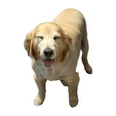 哈尼尼尼尼尼尼尼尼尼尼尼尼尼尼尼尼