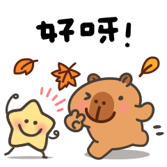 <秋天的豚豚小星>好呀!超實用日常 ♡ ♡