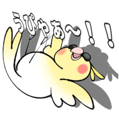 KOARA_20251015132732