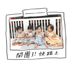 四大金釵：軟萌日常（第一彈）