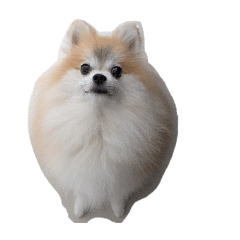 mugigi_20251015150112