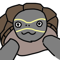 カメのマネスキン