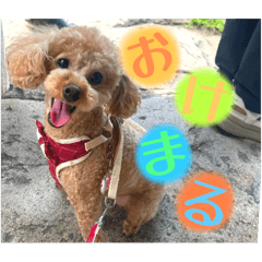 Hanabi_20251015163626