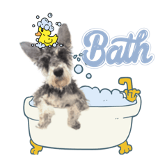 karensan_20251015170351