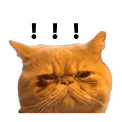 OMOCHI_20251015174133