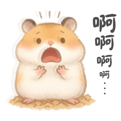 貼心又療癒的倉鼠哈蒙德 ♡♡