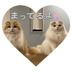 chirichiri_20251015194255