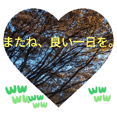 The same face as yesterday, the usual gr