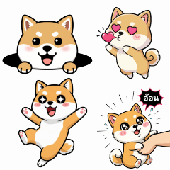 Shiba Gang: Way Too Extra!