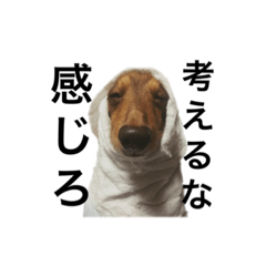 hashisukematsuko
