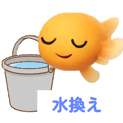 ayame_20251015202312