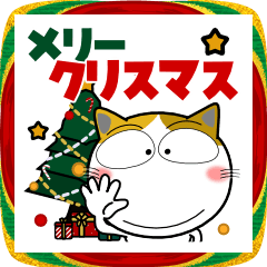 三毛猫★年末年始2026