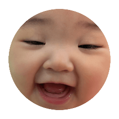 hana_20251015191617