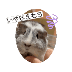 asuka_20251015161912