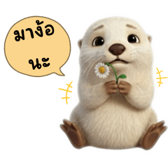 Otto :The Little Otter