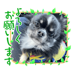 ikuru_20251015214131