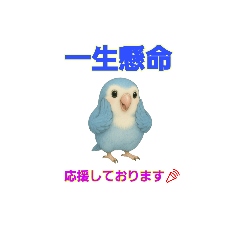 Luubird_20251015185619