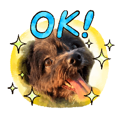 rabbimon_20251015205310