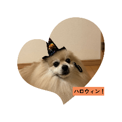 tsubaki_20251015204952