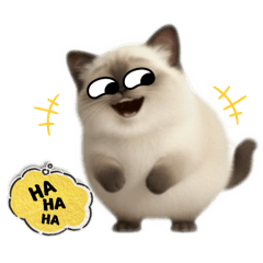 Chubby VCmas : Siamese Cat