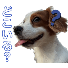 natsu_20251015230628