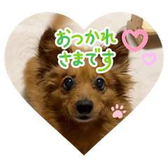 lovely dog stamp01