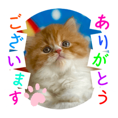 Shigeyuki koketsu_20251015231832