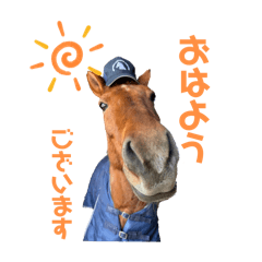 sakura_20251016001513