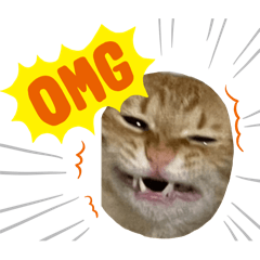 6NYANZ_20251016014910