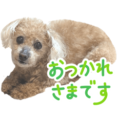 akane_20251016080619