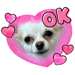 emily_20251016083648