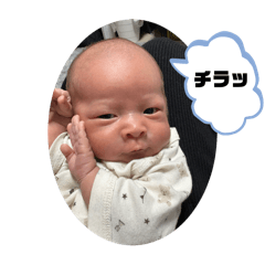 YURINA_20251016085118