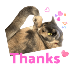 Junko_20251015235918