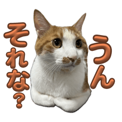 SEIRA_20251016112833