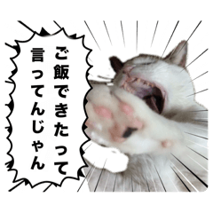 ka-chan_20251016111930