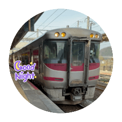 Limited express seen on Kyoto and Osaka