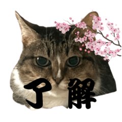 Kelly_20251016141128