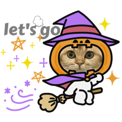 Camel_20251016035558