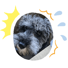 Uta&Gin's stamp part.2