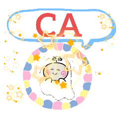 USA state codes California New York