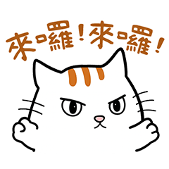 線條小貓 來接你了上車囉