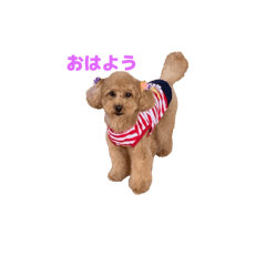 M_20251016153634