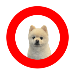 t_20251016003458