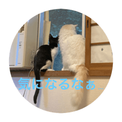 MISAKI_20251016164027