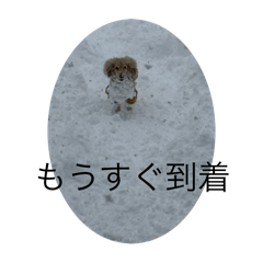 Minting_20251016140233