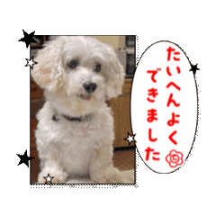 Haruka_20251016211850