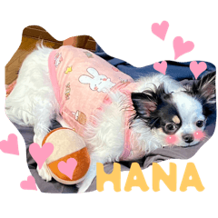 chihiro_20251016223712