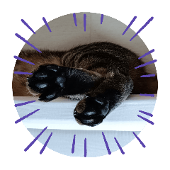 kazumi_20251016225258